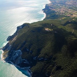 Immersi nel verde del Conero