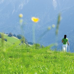 Frasassi - cultura in movimento